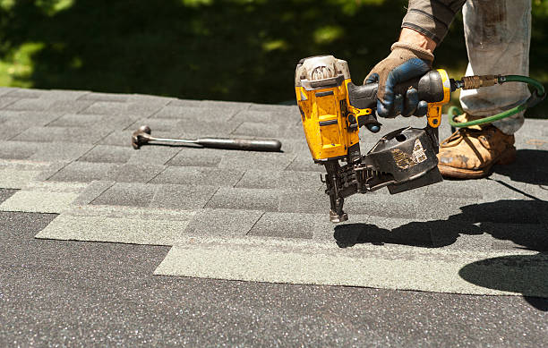 Best Roof Moss and Algae Removal  in Fremont, OH